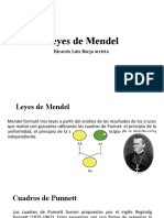 Leyes de Mendel: Ricardo Luis Borja Arrieta