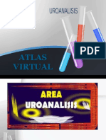 Atlas Virtual-Uroanalisis
