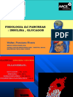 Miméticos de Incretina: Exenatide: Fisiologia Del Pancreas: Insulina, Glucagon