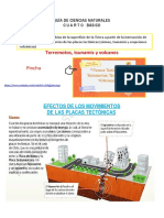 4 Basico Noviembre Ciencias