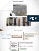 3. Caracterización de la biomasa y de la suspensión biológica (1)