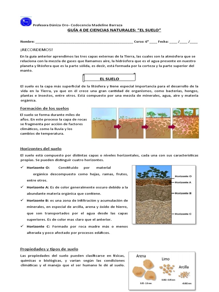 ¡Recordemos!: Guía 4 de Ciencias Naturales: "El Suelo" | PDF | Suelo ...