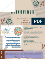Rhinovirus: María Fernanda Sedas Contreras zS20011350 Microbiología 301 Dr. Omar Ugarte