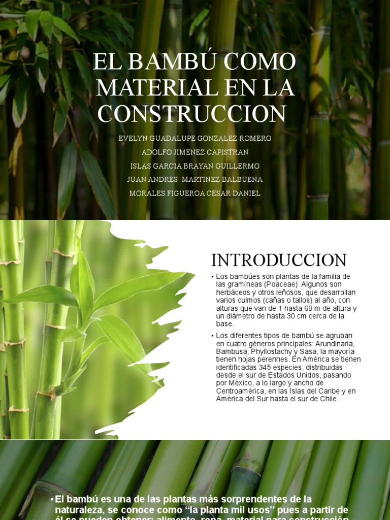 El Bambú Como Material en La Construccion | PDF