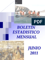 Boletin Estadistico Junio 2011