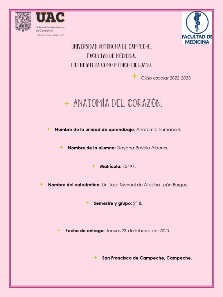 Anatomía Del Corazón Pdf Corazón Vena