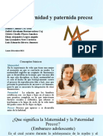 Equipo 2: Tema:Maternidad y Paternida Precoz