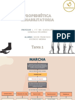 Tarea 2 La Marcha, David Ascencio Medina-1