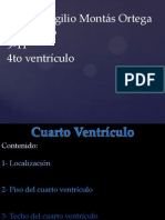 4to ventriculo