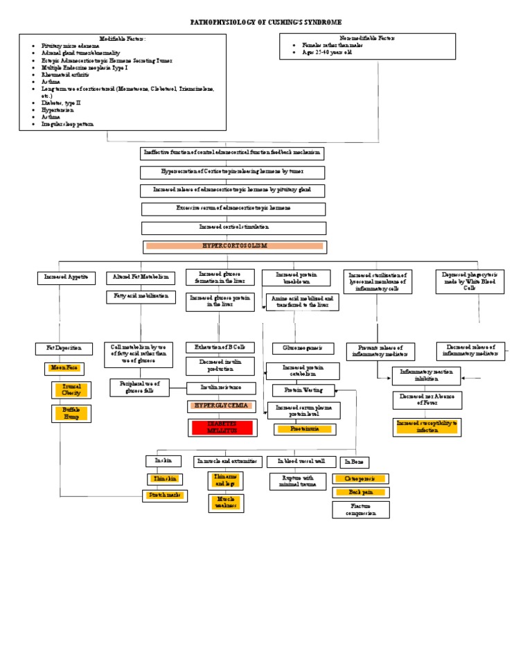 Cushing Syndrome Pathophysiology | PDF | Clinical Medicine | Endocrine ...