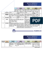 Protocolo crítico de investigación