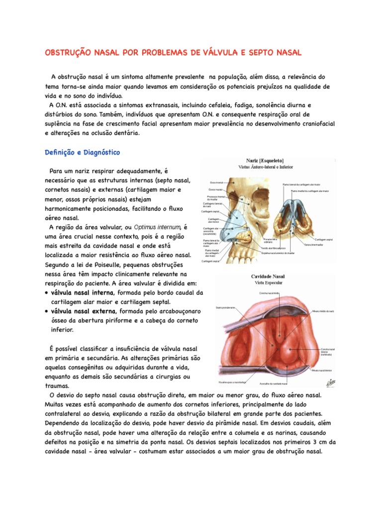 Obstrução Nasal: Válvula e Septo | PDF | Cirurgia | Medicina Clínica