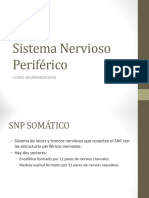 13 Sistema Nervioso Periférico 