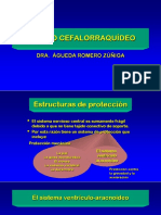 5 LCR Meninges