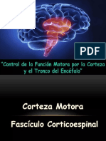 Control de La Función Motora Por La Corteza