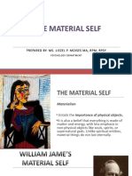 VI-MATERIAL SELF PPT Presentation (Acquire)