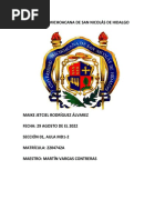 Universidad Michoacana de San Nicolás de Hidalgo