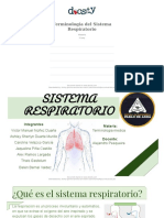 Docsity Terminologia Del Sistema Respiratorio
