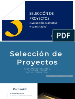 03-Seleccion de Proyectos - Oficial