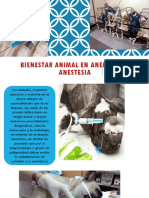 BIENESTAR ANIMAL EN ANESTESIA Y ANELGESIA