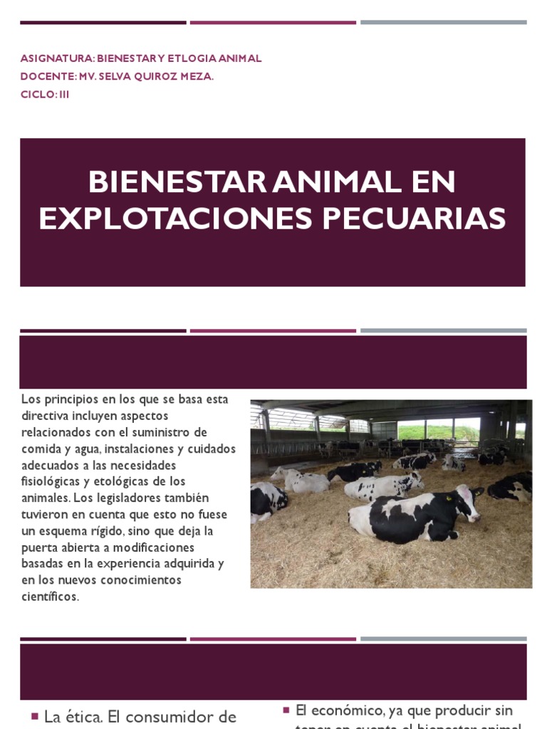 Bienestar Animal en Explotaciones Ganaderas | PDF | Bienestar de los ...