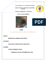 Animales Mayores 1era Practica PDF