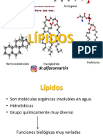 Lípidos: DR - Alfaromartin