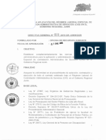 Directiva General N 001-2019 - Gr-Jun N GGR - Normas para La Aplicaci N Del R Gimen Laboral Especial