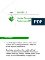 Human Reproductive Anatomy and Physiology