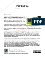 PDF File Example