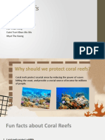 Coral Reefs: Room 2 Members