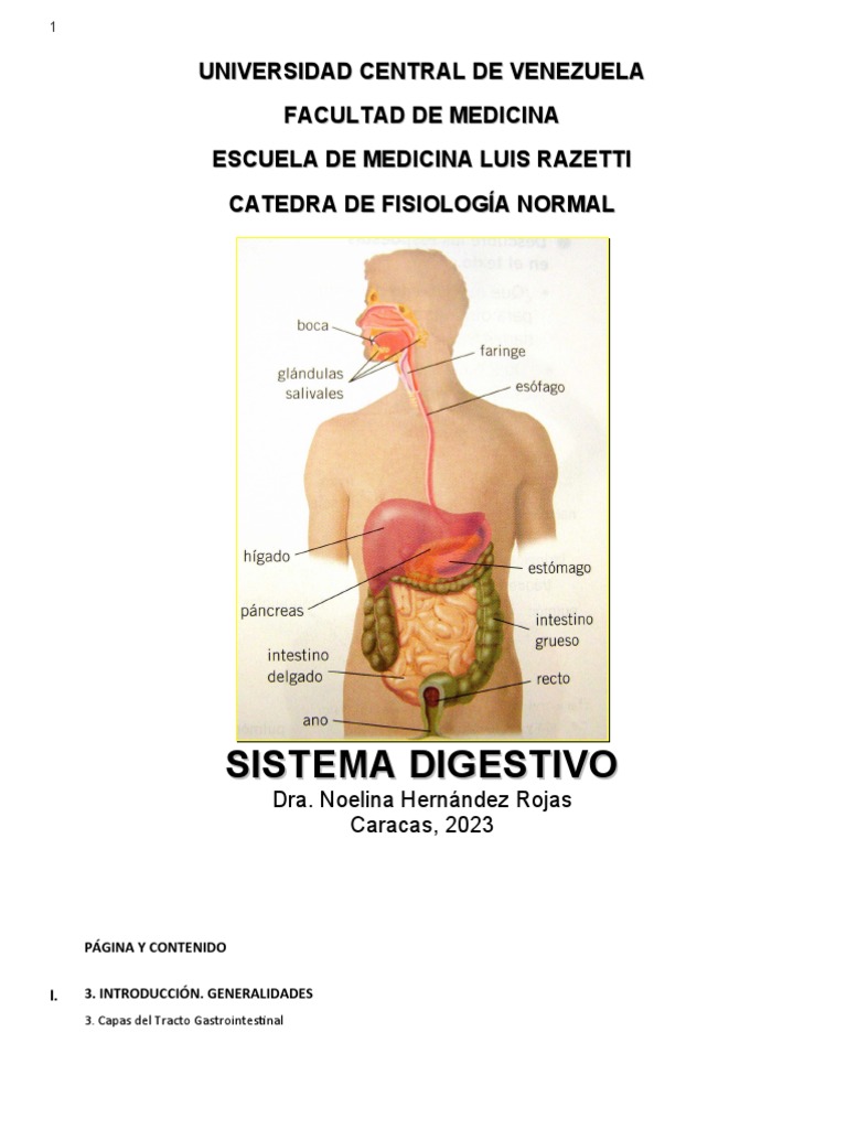 2023 Guia Sistema Digestivo Pdf