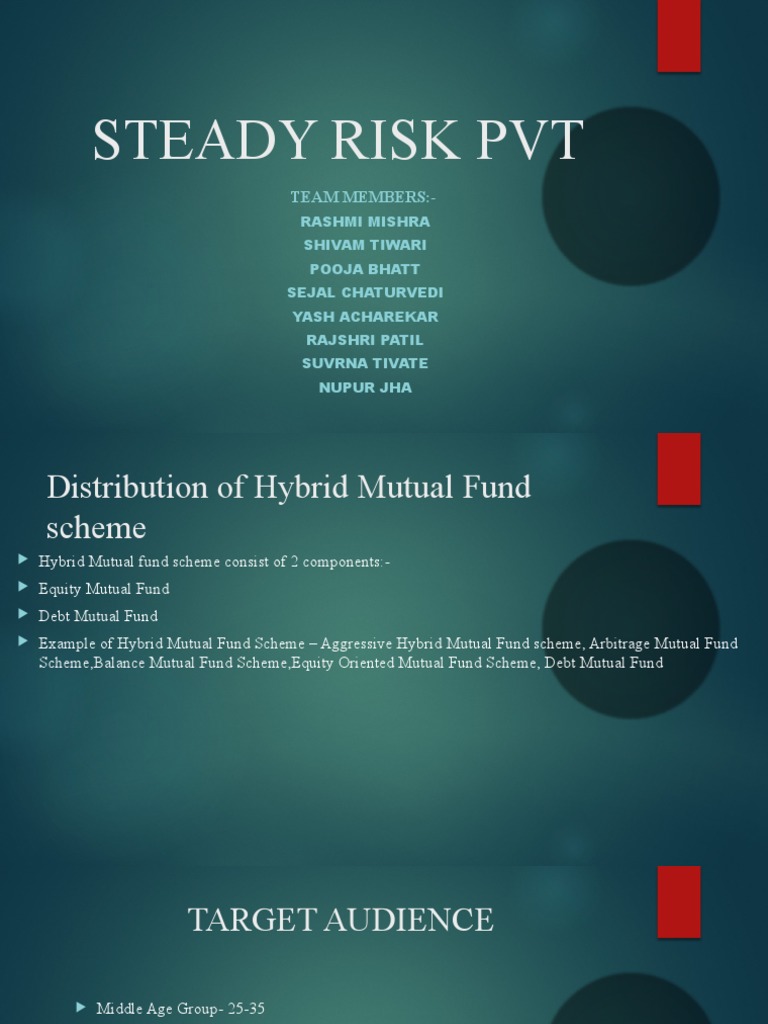 Steady Risk PVT | PDF