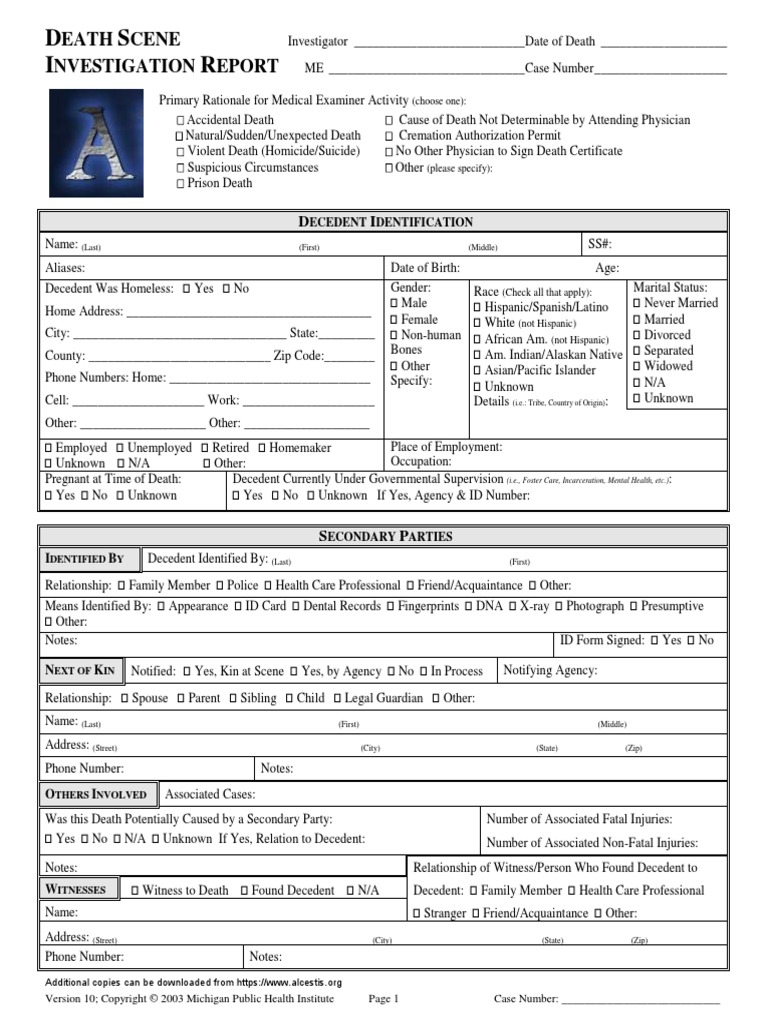 Police Investigation Report Template | PDF