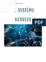 Document 15 - Le Système Nerveux