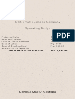 D&S Small Business Company Operating Budget: Daniella Mae D. Gestopa