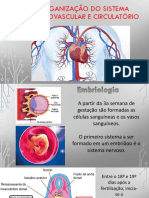 Organização Do Sistema Cardiovascular E Circulatório