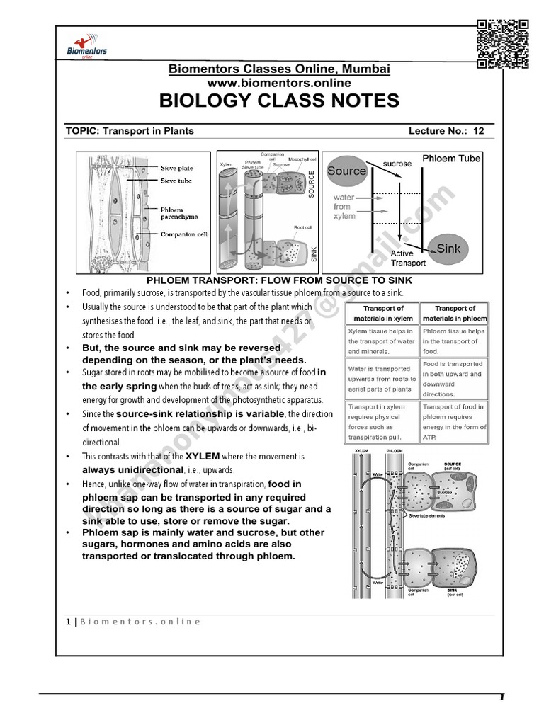 Lecture - 12 Notes Transport in Plants | PDF | Plants | Plant Morphology
