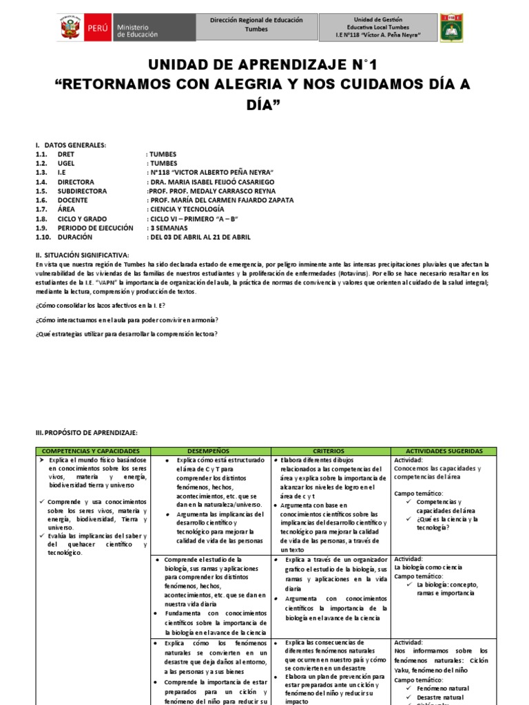 Unidad de Aprendizaje N01 | PDF | Aprendizaje | Cognición