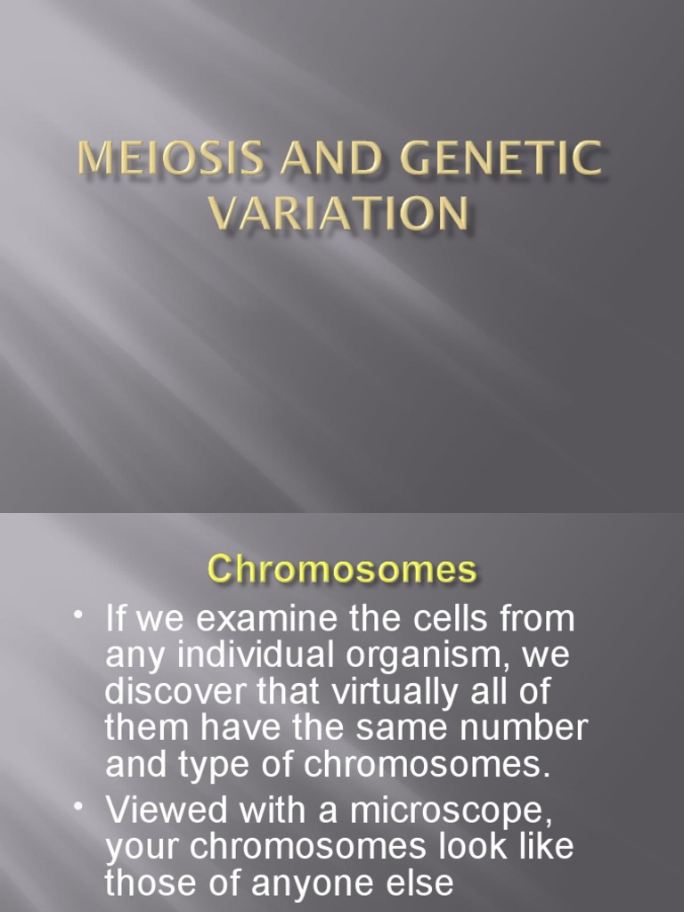 Meiosis and Genetic Variation Biology Diagrams