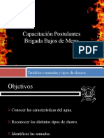 Capacitación Postulantes Brigada Bajos de Mena: Tendidos o Armadas y Tipos de Chorros