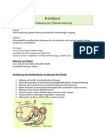 Handout: Verdauung Von Pflanzennahrung