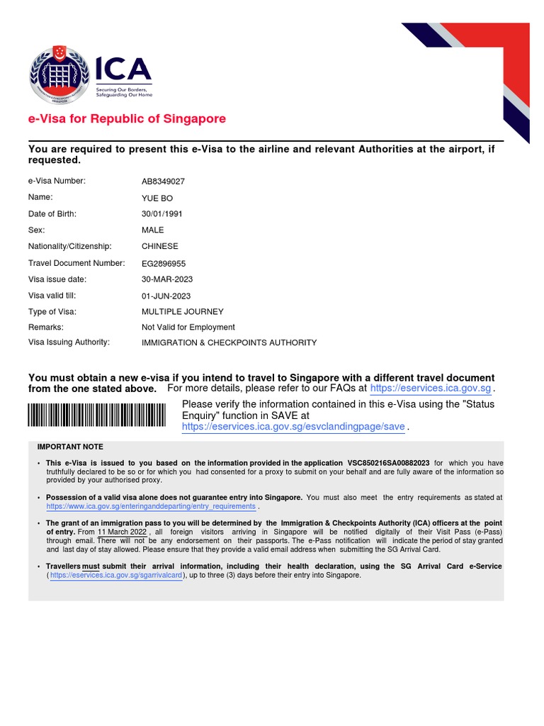 multiple journey singapore visa