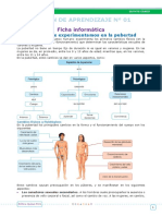 Anexo de Sesiones de Aprendizaje - EDA II Semana 1