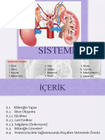 Boşaltim Sistemi