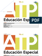 Proyecto de Enriquecimiento Ejemplo