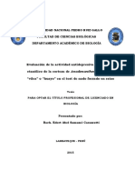 Evaluación de La Actividad Antidepresiva Del Extracto Etanólico de La Corteza de Anadenanthera Colubrina "Vilca" o "Huayo" en El Test de Nado Forzado en Ratas