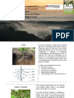 Consultorio Socio Ambiental y Agropecuario Del Nororiente Colombiano Universidad Francisco de Paula Santander, Seccional Ocaña