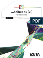 Ómnibus 55 (VI)