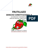 Frutillazo - Derecho Constitucional II